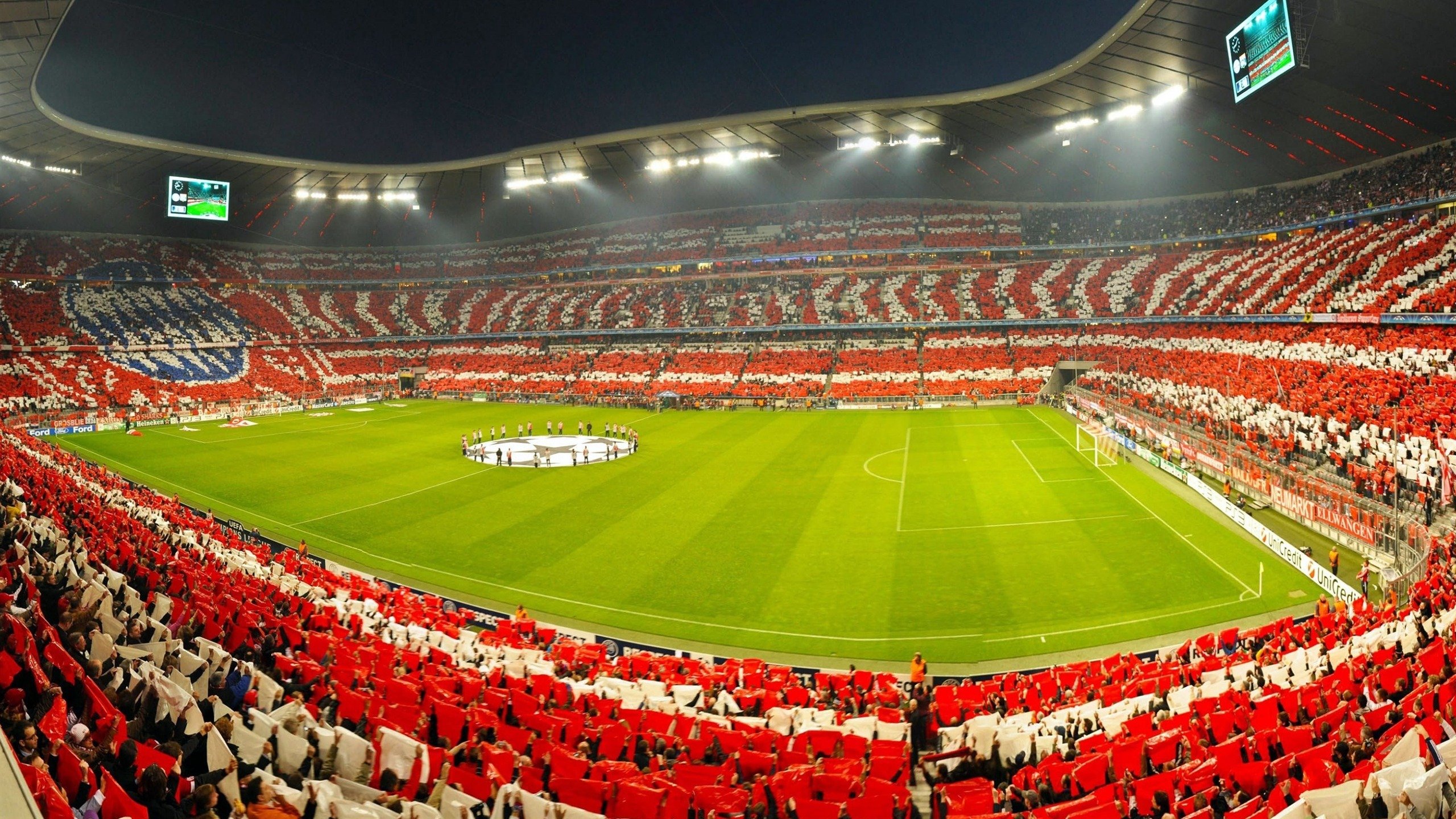 灰熊最后一秒绝杀，现场气氛爆棚，灰熊袭击死亡视频